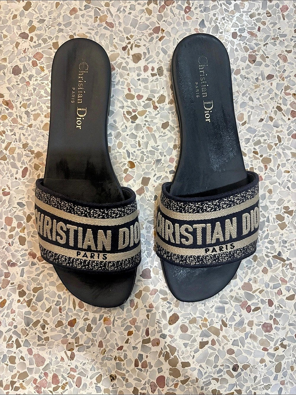 Christian Dior Dway Slide Logo Sandals in Black & Brown